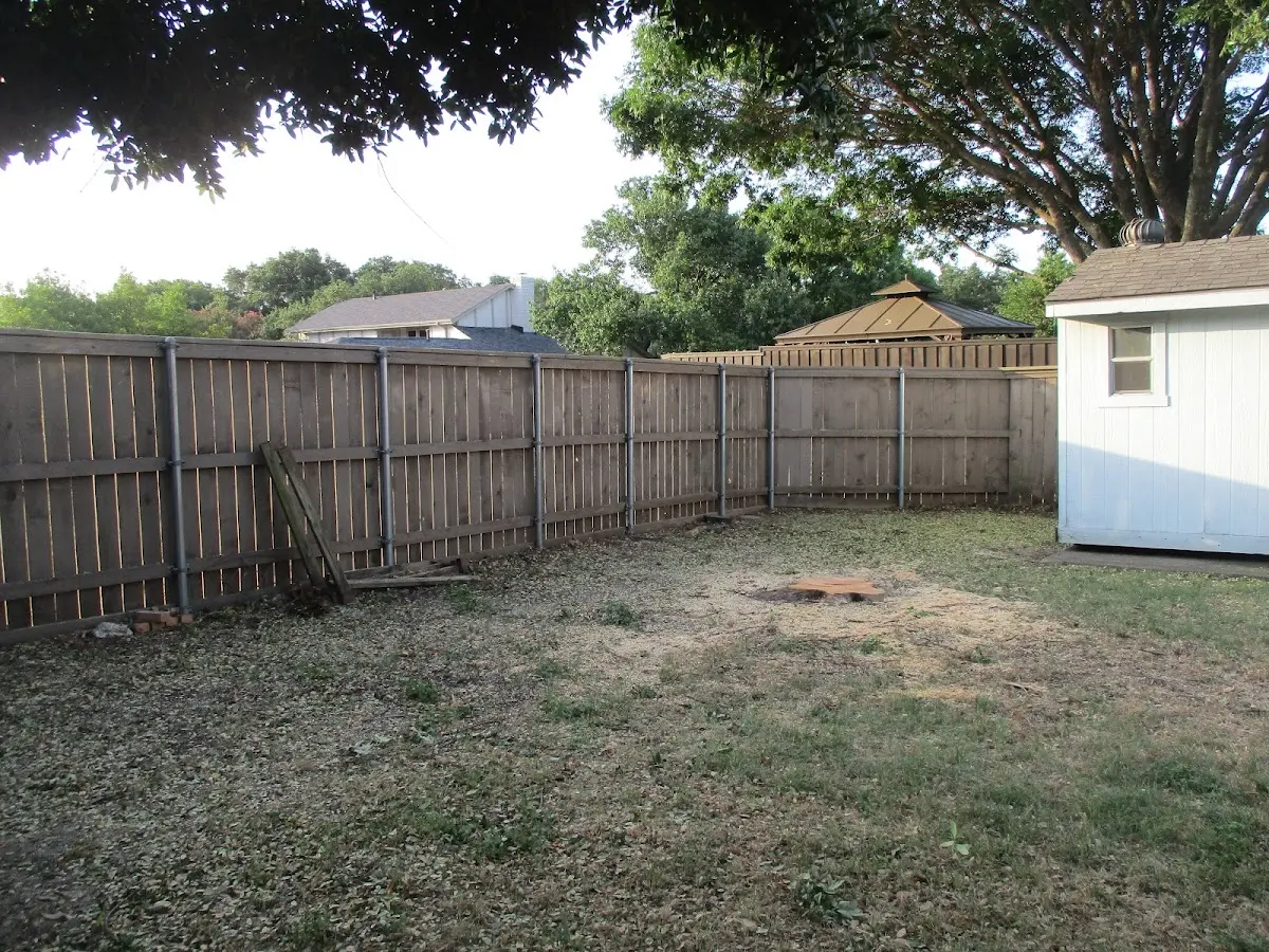Cleared yard after professional tree removal in Deer Island