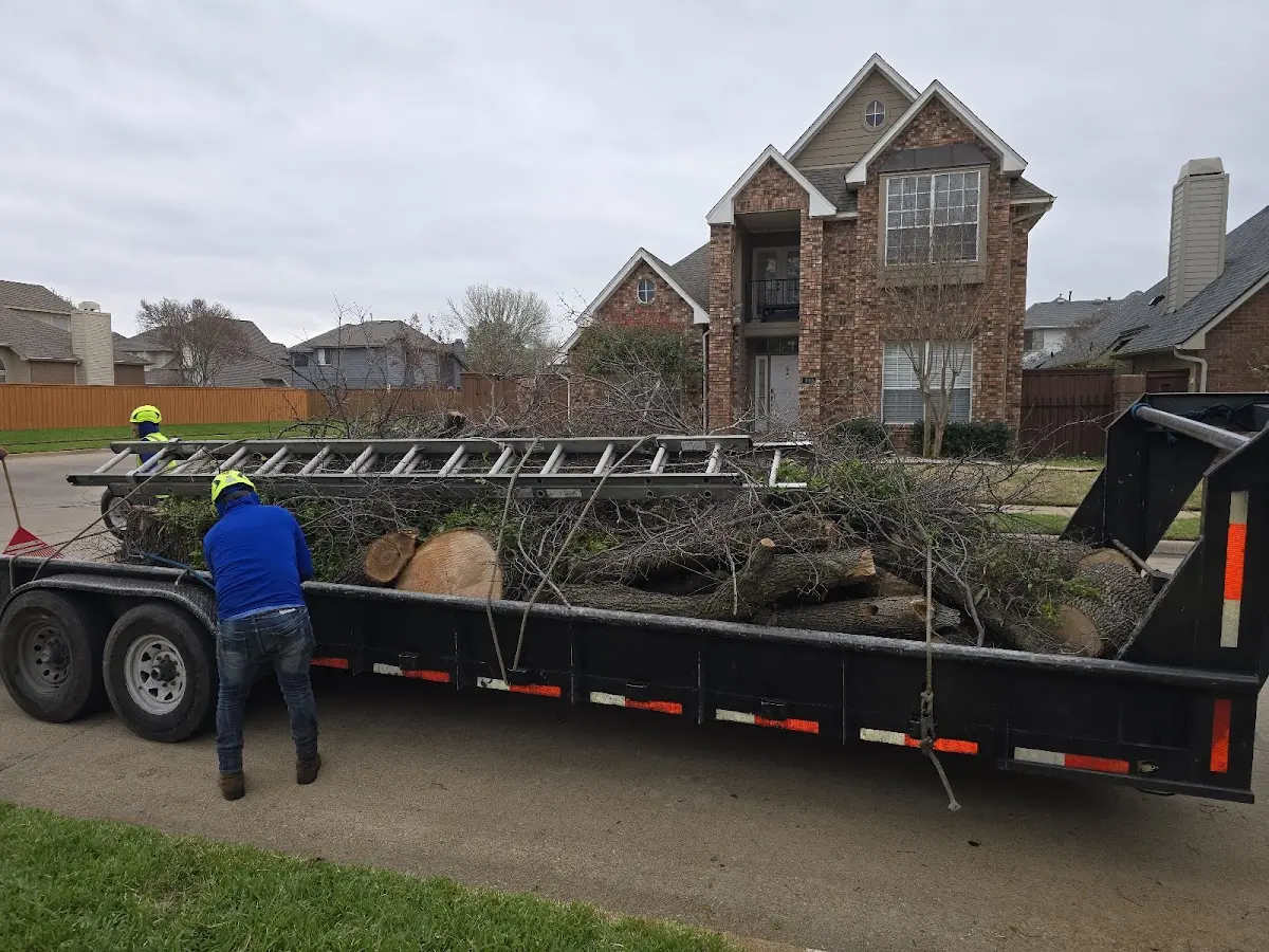 Expert Tree Fertilization with proper safety equipment in Deer Island